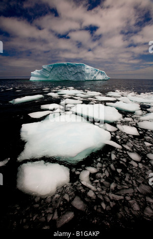 Zerbrochene Eis Fragmente von einem Eisberg Float auf der Oberfläche des Ozeans in der Nähe von Quirpon Island, Neufundland & Labrador, Kanada. Stockfoto