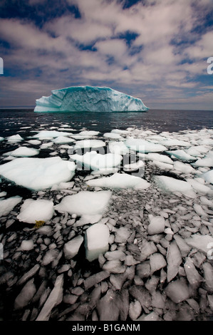 Zerbrochene Eis Fragmente von einem Eisberg Float auf der Oberfläche des Ozeans in der Nähe von Quirpon Island, Neufundland & Labrador, Kanada. Stockfoto