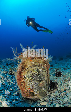 Pinna Nobilis, Taucher mit edlen Steckmuschel, Adria Mittelmeer Cres Stockfoto