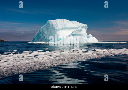 Zerbrochene Eis Fragmente von einem Eisberg Float auf der Oberfläche des Ozeans in der Nähe von Quirpon Island, Neufundland & Labrador, Kanada. Stockfoto