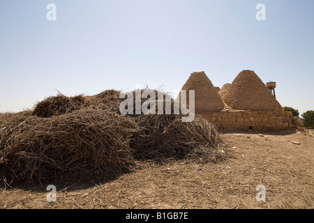 Traditionellen Lehmziegeln "Bienenstock" Häuser in der alten Mespotamian Stadt Harran, Süd-Ost-Türkei Stockfoto