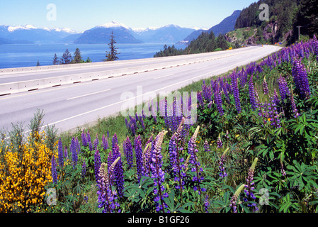 Landschaftlich reizvolle "Sea to Sky" Highway (Hwy 99) von Vancouver nach Whistler, BC, British Columbia, Kanada - Howe Sound, Coast Mountains Stockfoto