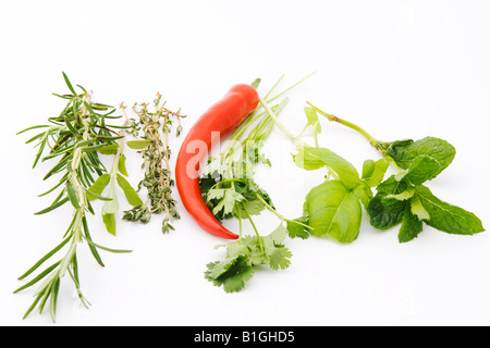 Grüne Kräuter mit rotem Pfeffer Stockfoto