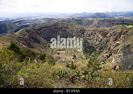 Vulkankrater der Caldera de Bandama Gran Canaria Spanien Stockfoto