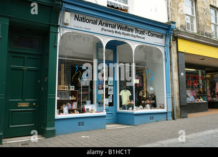 Falmouth Cornwall England GB UK 2008 Stockfoto