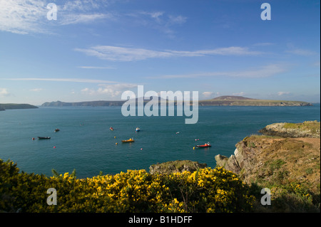 Aussicht auf Ramsey Insel St Davids Pembrokeshire Wales Stockfoto