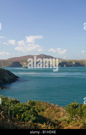 Suche entlang Maen Bachau in der Nähe von St Justinian s mit Ramsey Island in b g St Davids Pembrokeshire Wales Stockfoto