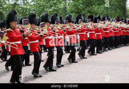 Grenadier Guards, Buckingham Palace, London, Trooping die Farbe Zeremonie, 14. Juni 2008 Stockfoto