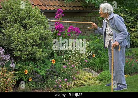 Ältere Frau mit zwei Stöcken, die Pflanzen im Garten mit einem von ihnen aufzeigen Stockfoto