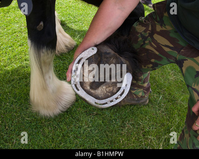 Shire Horse Huf und Schuh im Richmond Park, Richmond. Surrey. UK Stockfoto