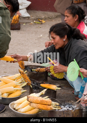 Maiskolben in Darjeeling Indien kolportiert wird Stockfoto