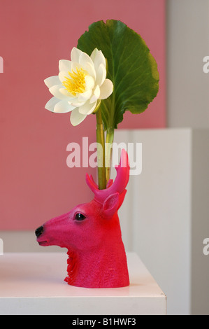 Weiße Seerose in rosa farbigen Reh-förmige vase Stockfoto