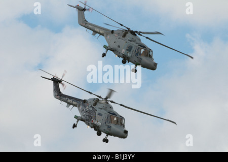 Die schwarzen Katzen Royal Navy Anzeige Kemble Air Show 2008 Stockfoto