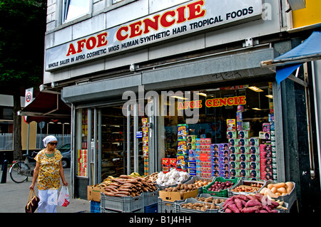 Rotterdam der Middellandstraat Niederlande-Holland Stockfoto