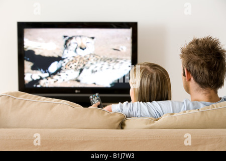 Rückansicht eines Paares vor dem Fernseher Stockfoto