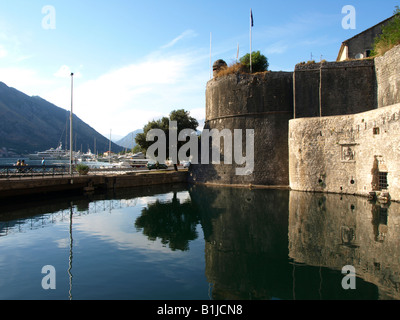 Festung in der Bucht von Kotor, mit Blick auf den Yachthafen, Serbien und Montenegro, Kotor Wände Stockfoto