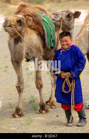 Baktrische Kamele, bucklig zwei Kamele (Camelus Bactrianus) mit jungen Nomad boy Stockfoto