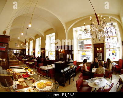 Gäste im Cafe Diglas, Österreich, Wien Stockfoto