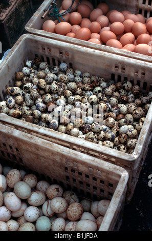 Eiern auf einem Markt China, Chengdu Stockfoto