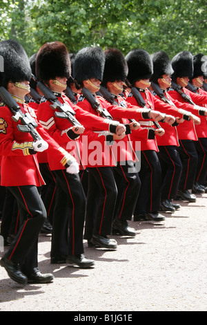 Grenadier Guards, Buckingham Palace, London, Trooping die Farbe Zeremonie, 14. Juni 2008 Stockfoto