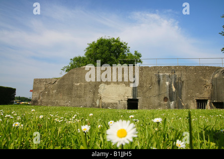 Normandie, Frankreich. Blumen und einem alten deutschen Bunker La Madeleine. Stockfoto