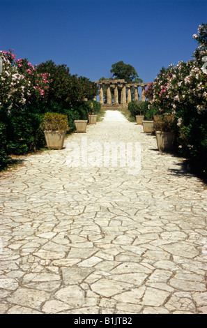 Tempel der Hera, Tavole Palatin, Metaponto, Provinz von Matera, Basilikata, Italien Stockfoto