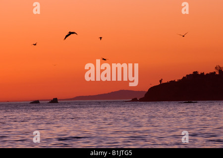 Orange Sonnenuntergang über Laguna Beach, Kalifornien, USA. Stockfoto