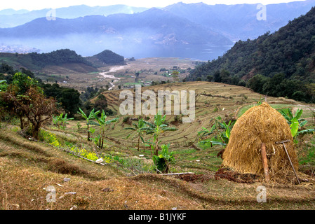 Nepal Pokhara terrassierten Hang oberhalb Phewa Tal See Stockfoto