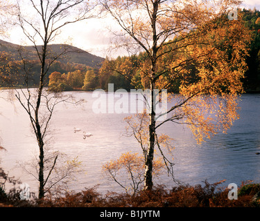 GB - Schottland/TAYSIDE: Loch Tummel Stockfoto