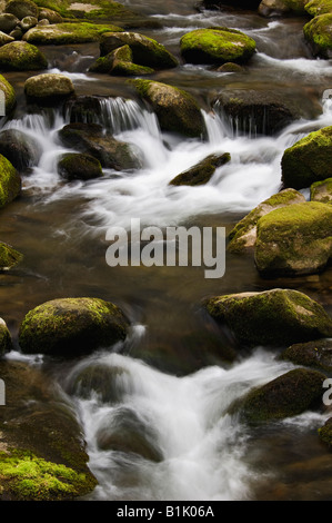 Kaskaden am Roaring Fork Creek Great Smoky Mountains Nationalpark Tennessee Stockfoto