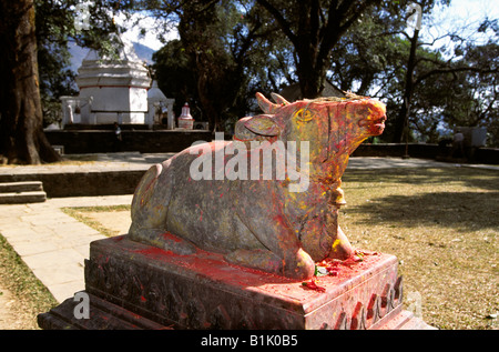 Nepal Pokhara Binde Basinhi Tempel Nandi Shivas Stier Heilige Kuhstatue in Farbpulver bedeckt Stockfoto