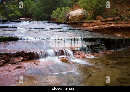 Ein Wasserfall entlang der linken Gabel des Virgin River im Zion Nationalpark, Utah Stockfoto