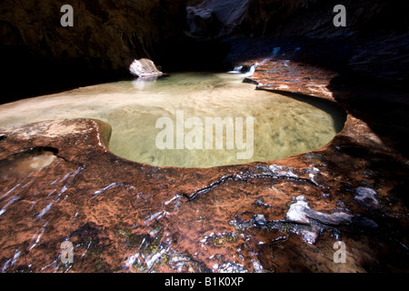 Eine Lache des Wassers innerhalb der U-Bahn-Bildung im Zion Nationalpark, Utah. Stockfoto