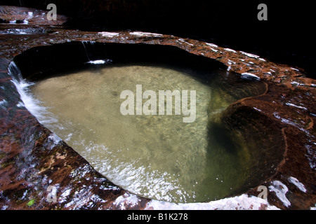 Ein Smaragd grünen Pool innerhalb der berühmten U-Bahn-Bildung im Zion Nationalpark, Utah. Stockfoto