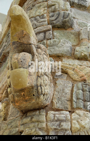 Schnitzen in Copan Museum, Copan Ruinen, Copán, Honduras, Mittelamerika Stockfoto