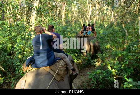 Nepal Chitwan Nationalpark Touristen auf Elephant back safari Stockfoto