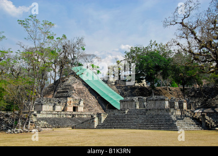 Stele in Copan Ruinen, Honduras, Mittelamerika Stockfoto