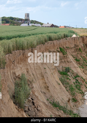 Getreide in der Nähe von weichen, sandigen Steilküste angebaut werden und rutschen Strand unter happisburgh Norfolk England England Stockfoto