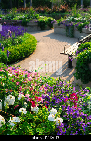 Formaler Garten mit blühenden Blumen im Sommer Stockfoto