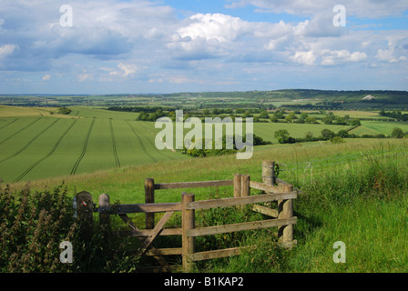 Ansichten der Kreide Downlands am Rand der Chiltern Hills, Ashridge Estate, Buckinghamshire, England, Vereinigtes Königreich Stockfoto