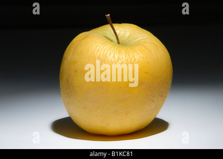 Eine alternde Golden Delicious Apfel Stockfoto