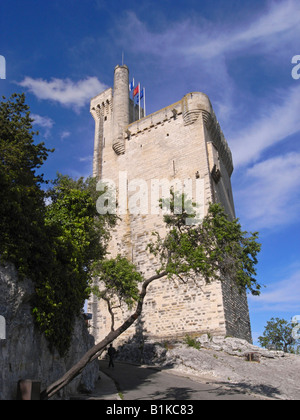 Tour Philippe Le Bel Villeneuve Lès Avignon Frankreich Stockfoto