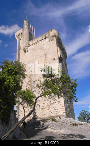 Tour Philippe Le Bel Villeneuve Lès Avignon Frankreich Stockfoto