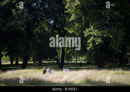 Junge Menschen entspannen auf dem Rasen in St James Park an einem Sommertag London England Großbritannien UK Stockfoto