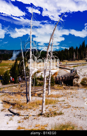 Bild auf der Suche nach unten und nach der langen Holzsteg Serpentinen, die durch die Pools des Old Faithful Geys wandert Stockfoto