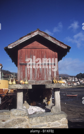 Traditionelle hölzerne angehoben Scheune (Horreo) auf Säulen (Esteos) mit Kalebassen neben Hafen, Combarro, in der Nähe von Vigo, Galizien, Spanien Stockfoto