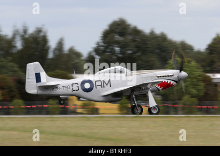 P-51 Mustang vintage Weltkrieg 2 Jagdflugzeug der Royal Australian Air Force Farben. Seitenansicht mit Motion Blur für Eindruck von Geschwindigkeit. Stockfoto