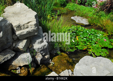 Teich mit Wasserpflanzen Landschaftsbau und natürlichen Felsen Stockfoto