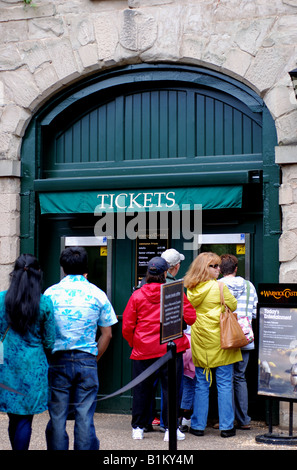 Menschen, die Schlange für die Tickets bei Warwick Castle, England, UK Stockfoto