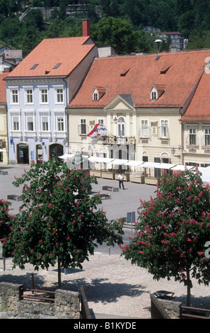 Rathaus auf Tomislav quadratische Samobor Kroatien Stockfoto